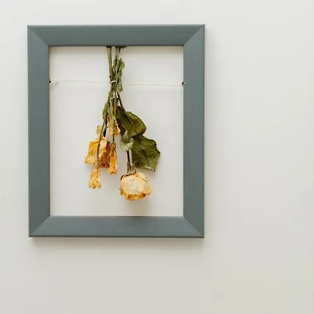 Casa Cicetta 焦维纳佐