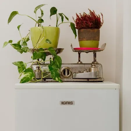 公寓 Casa Cicetta *